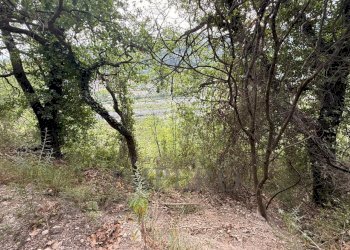 11.jpeg - Agricultural land Via Monsignor Nicolò Peitavino, Ventimiglia - photo 11