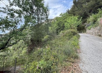 13.jpeg - Agricultural land Via Monsignor Nicolò Peitavino, Ventimiglia - photo 13