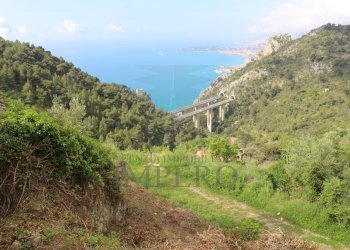IMG_3322.JPG - Agricultural land Via Case Gina 13, Ventimiglia - photo 14
