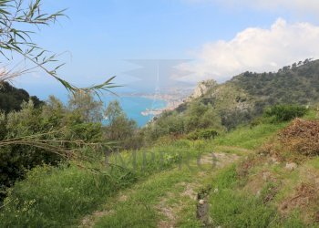 IMG_3340.JPG - Agricultural land Via Case Gina 13, Ventimiglia - photo 19