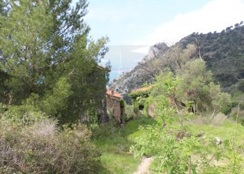 IMG_3351.JPG - Agricultural land Via Case Gina 13, Ventimiglia - photo 20