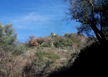 DSC_0908.JPG - Agricultural land Via Case Gina 13, Ventimiglia - photo 19