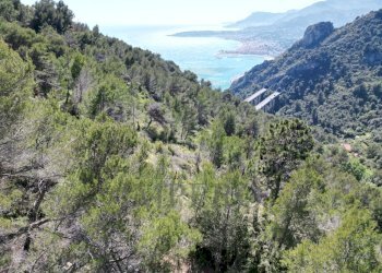 DJI_0878.JPG - Agricultural land Via Case Gina 13, Ventimiglia - photo 22