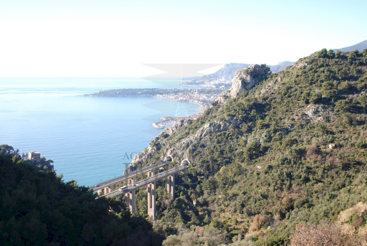 DSC_0847.JPG - Agricultural land Via Case Gina 13, Ventimiglia - photo 1