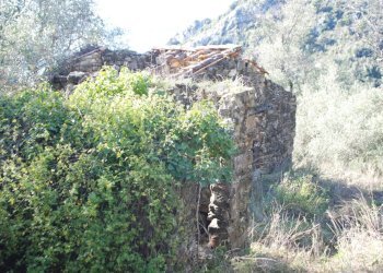 DSC_0899.JPG - Agricultural land Via Case Gina 13, Ventimiglia - photo 16