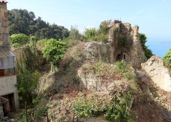 IMG_3305.JPG - Agricultural land Via Case Gina 13, Ventimiglia - photo 22