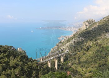 IMG_3325.JPG - Agricultural land Via Case Gina 13, Ventimiglia - photo 28