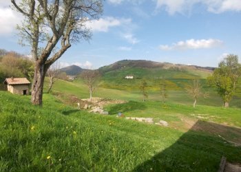 PODERE  MONTALTO (27).jpg - Rustico via Canobbi 8, Castel d'Aiano - foto 27