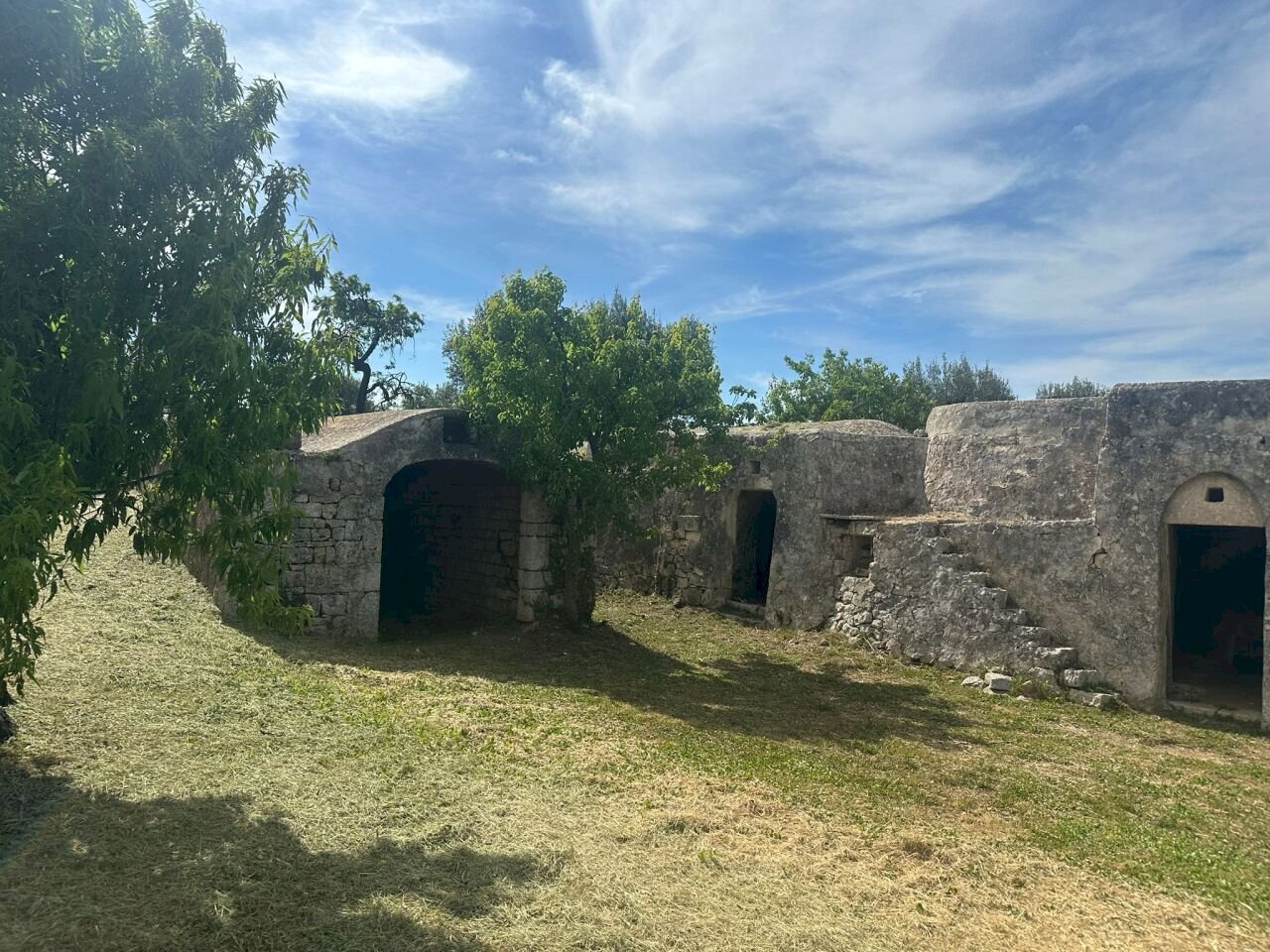 WhatsApp Image 2026-05-04 at 16.07.21 (2).jpeg - Casale Strada Provinciale 17, Ostuni - photo 2