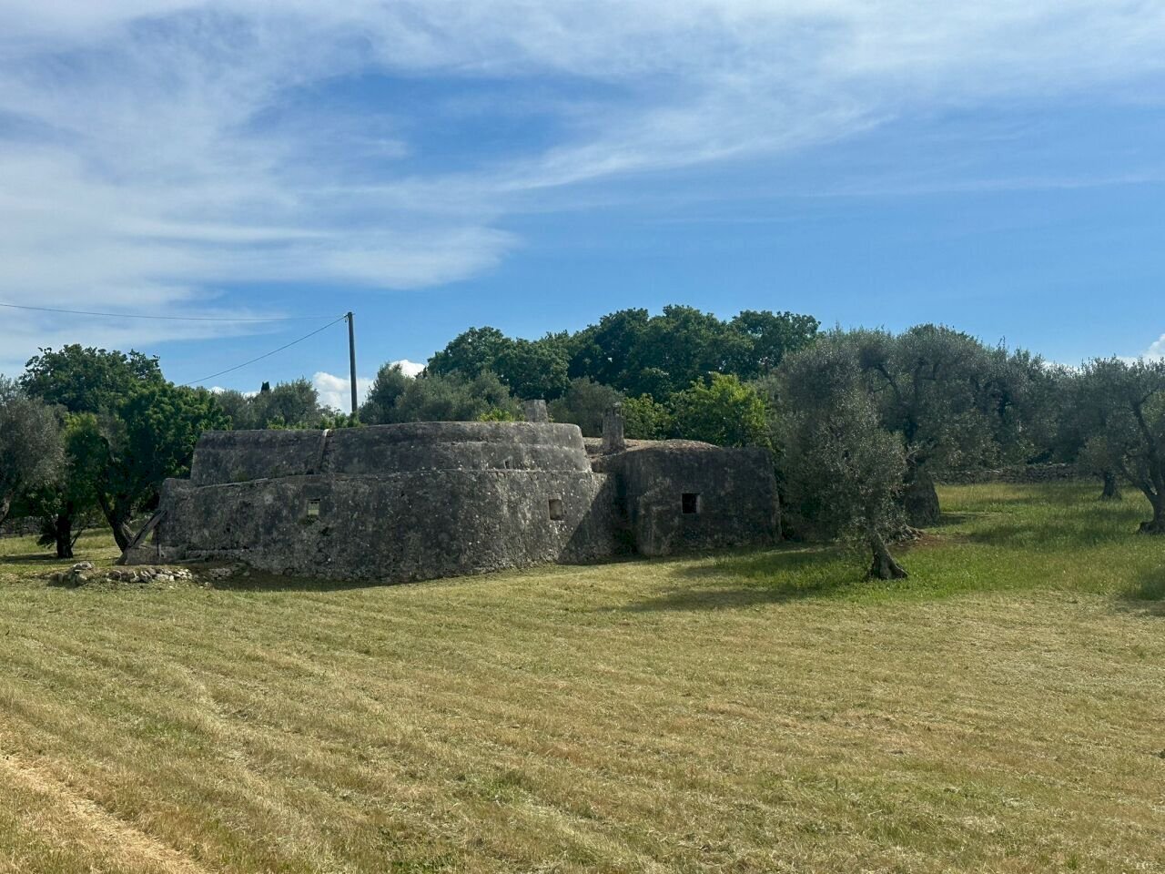 WhatsApp Image 2026-05-04 at 16.07.18.jpeg - Casale Strada Provinciale 17, Ostuni - photo 3