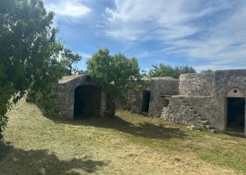 WhatsApp Image 2026-05-04 at 16.07.21 (2).jpeg - Casale Strada Provinciale 17, Ostuni - photo 2