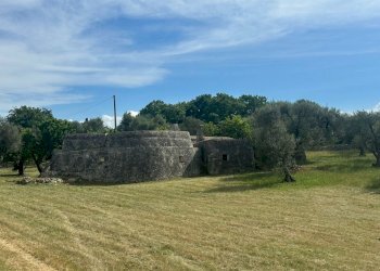 WhatsApp Image 2026-05-04 at 16.07.18.jpeg - Casale Strada Provinciale 17, Ostuni - photo 3