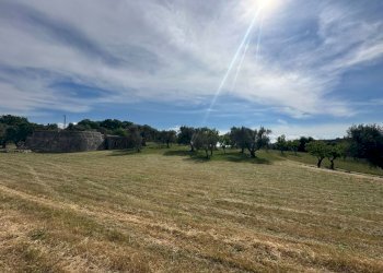 WhatsApp Image 2026-05-04 at 16.07.18 (1).jpeg - Casale Strada Provinciale 17, Ostuni - photo 8