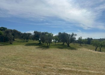 WhatsApp Image 2026-05-04 at 16.07.19 (1).jpeg - Casale Strada Provinciale 17, Ostuni - photo 9
