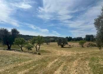 WhatsApp Image 2026-05-04 at 16.07.20.jpeg - Casale Strada Provinciale 17, Ostuni - photo 13