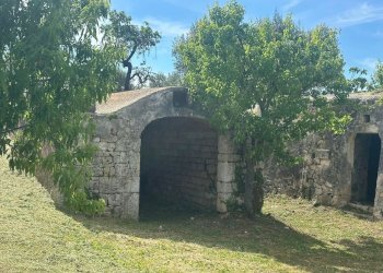 WhatsApp Image 2026-05-04 at 16.07.21 (3).jpeg - Casale Strada Provinciale 17, Ostuni - photo 14