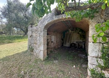 WhatsApp Image 2026-05-04 at 16.07.22 (2).jpeg - Casale Strada Provinciale 17, Ostuni - photo 17
