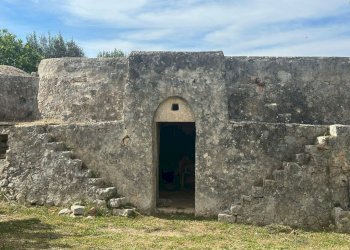 WhatsApp Image 2026-05-04 at 16.07.22.jpeg - Casale Strada Provinciale 17, Ostuni - photo 19