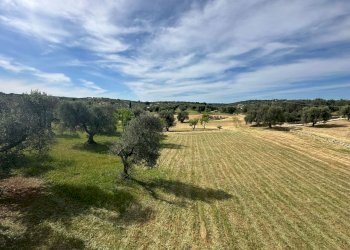 WhatsApp Image 2026-05-04 at 16.07.23 (2).jpeg - Casale Strada Provinciale 17, Ostuni - photo 21