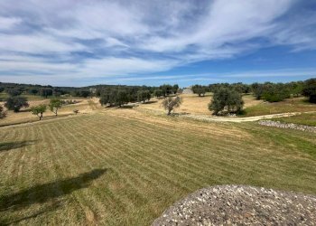 WhatsApp Image 2026-05-04 at 16.07.24 (1).jpeg - Casale Strada Provinciale 17, Ostuni - photo 23