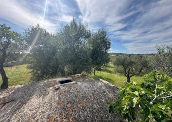 WhatsApp Image 2026-05-04 at 16.07.24 (2).jpeg - Casale Strada Provinciale 17, Ostuni - photo 24
