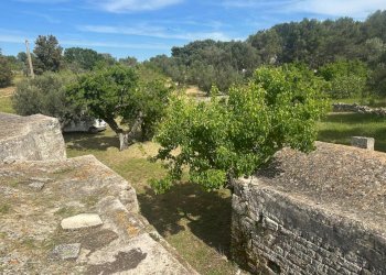WhatsApp Image 2026-05-04 at 16.07.25 (2).jpeg - Casale Strada Provinciale 17, Ostuni - photo 28