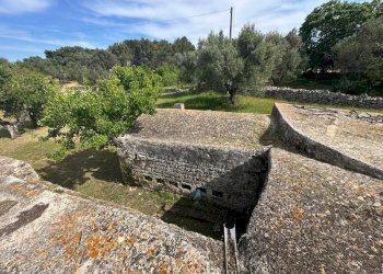 WhatsApp Image 2026-05-04 at 16.07.25.jpeg - Casale Strada Provinciale 17, Ostuni - photo 29