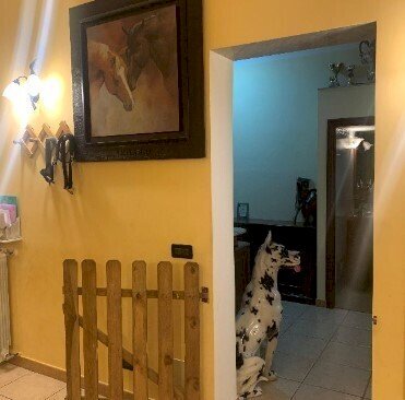 4.jpg - Apartment at auction Via Currò 12/7, Genova (neighborhood Sampierdarena) - photo 3