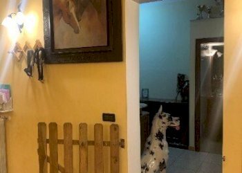 4.jpg - Apartment at auction Via Currò 12/7, Genova (neighborhood Sampierdarena) - photo 3