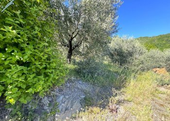giardino - Terratetto - Terracielo località la Rocca, Vernio - foto 27