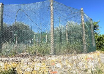 giardino - Terratetto - Terracielo località la Rocca, Vernio - foto 28