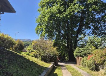 Villa Gignese - photo 68