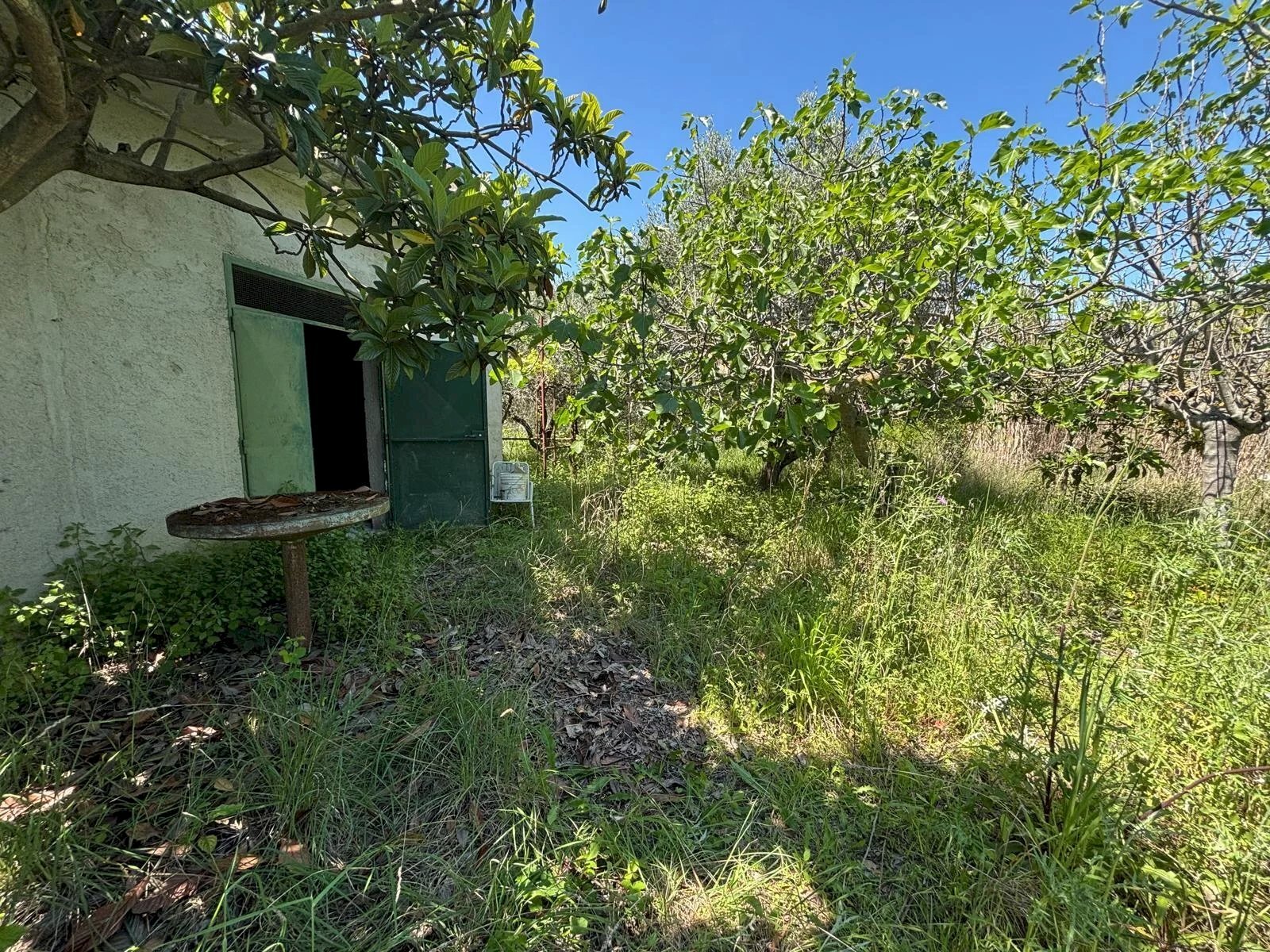 Casale Cappelle Sul Tavo, Cappelle sul Tavo - foto 1