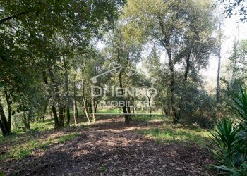 Villa Comprensorio Colleromano, Riano - photo 32