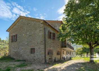 Casale Località Pergo Dogana, 4, Cortona - foto 7