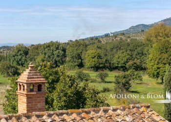 Casale Località Pergo Dogana, 4, Cortona - foto 20