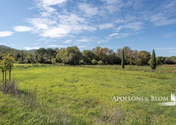 Casale Località Pergo Dogana, 4, Cortona - foto 31
