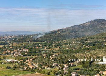 Casale Località Pergo Dogana, 4, Cortona - foto 32