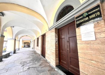 Quadrilocale Piazza chiesa, Gassino Torinese - foto 10