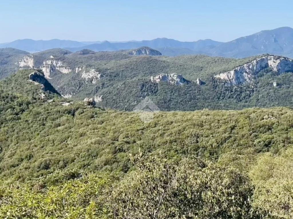 Terreno agricolo Orco Feglino, Finale Ligure - foto 3