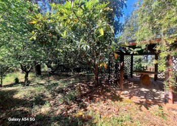 Appartamento in Villa strada Vicinale della Peschiera, frazione Saturnia, Manciano - foto 14