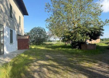 Rustic Via Marana, Budrio - photo 19