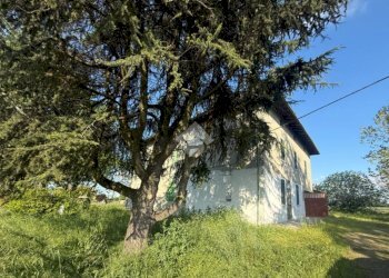 Rustic Via Marana, Budrio - photo 21