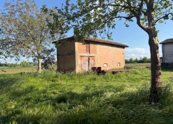 Rustic Via Marana, Budrio - photo 36