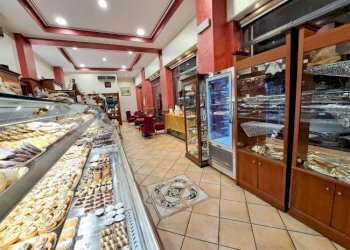 Attività Commerciale Orbassano - foto 4