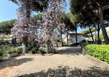 Stabile - Palazzo Vle Titano, Cervia - foto 4