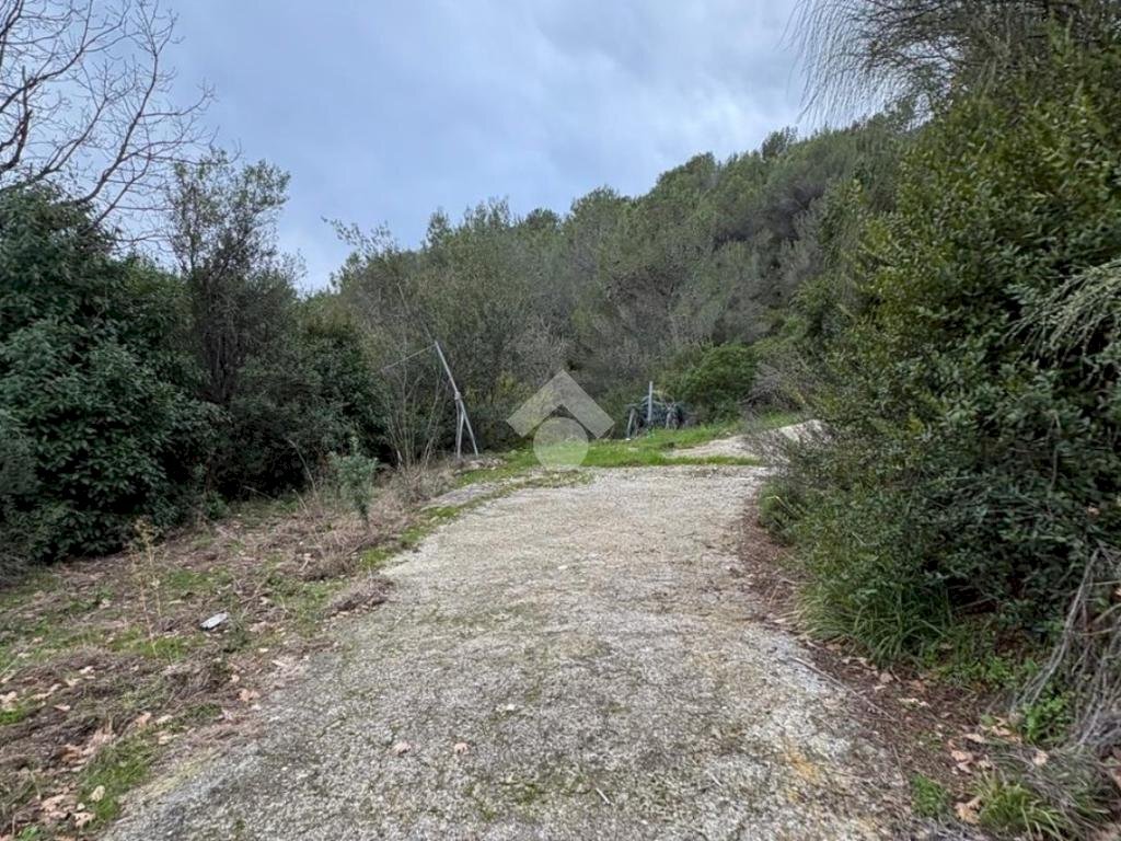 Terreno agricolo Via della Stazione, Ventimiglia - foto 2