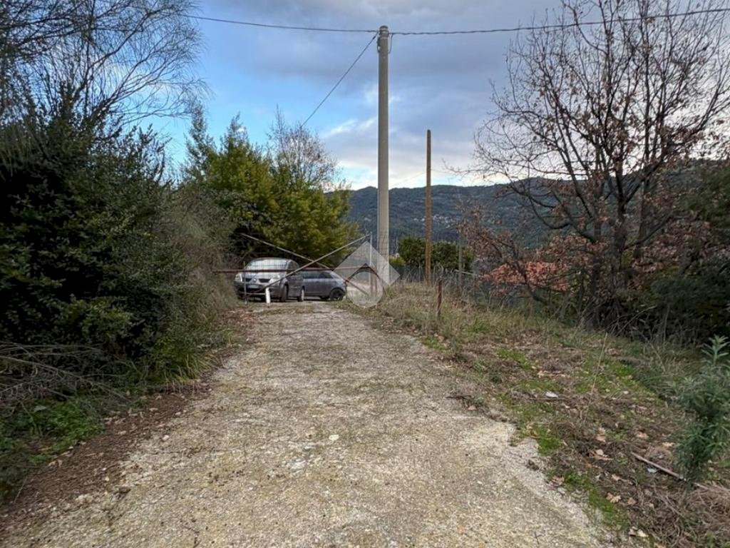 Terreno agricolo Via della Stazione, Ventimiglia - foto 3
