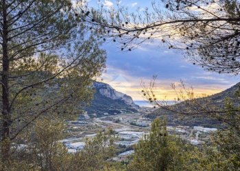Terreno agricolo Via della Stazione, Ventimiglia - foto 1