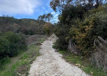 Terreno agricolo Via della Stazione, Ventimiglia - foto 4